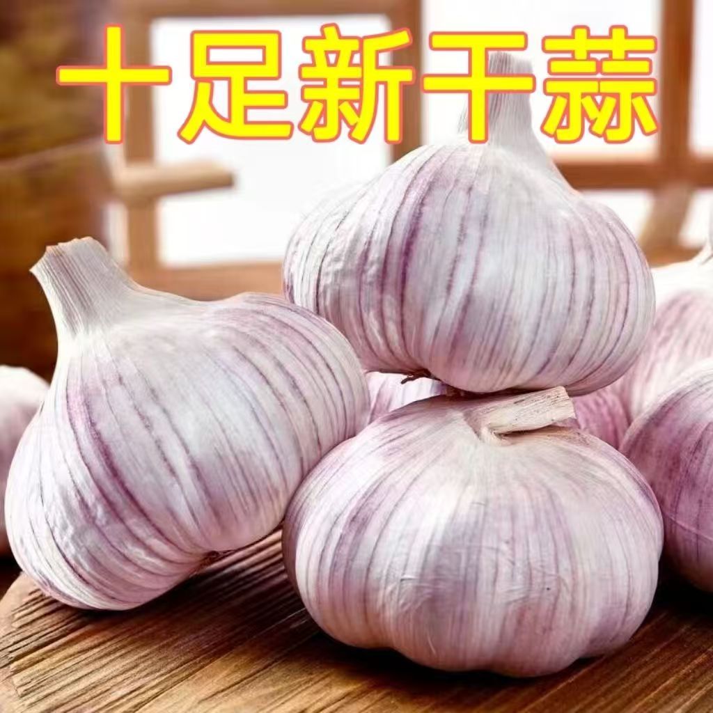 【低价冲量】干蒜新干紫皮大蒜农家干紫皮大蒜大个头紫白皮干蒜辛辣