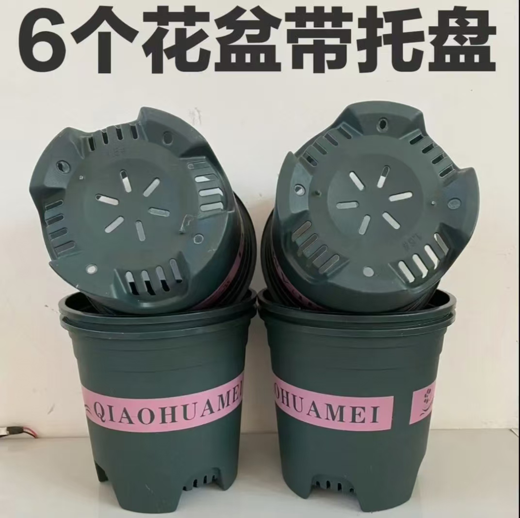 【6个带托盘】1.5加仑中高款多孔透气控根花盆（外口径19高18.3左右）