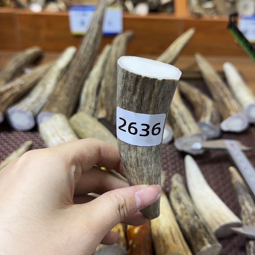 手串/手链鹿骨角尖2636