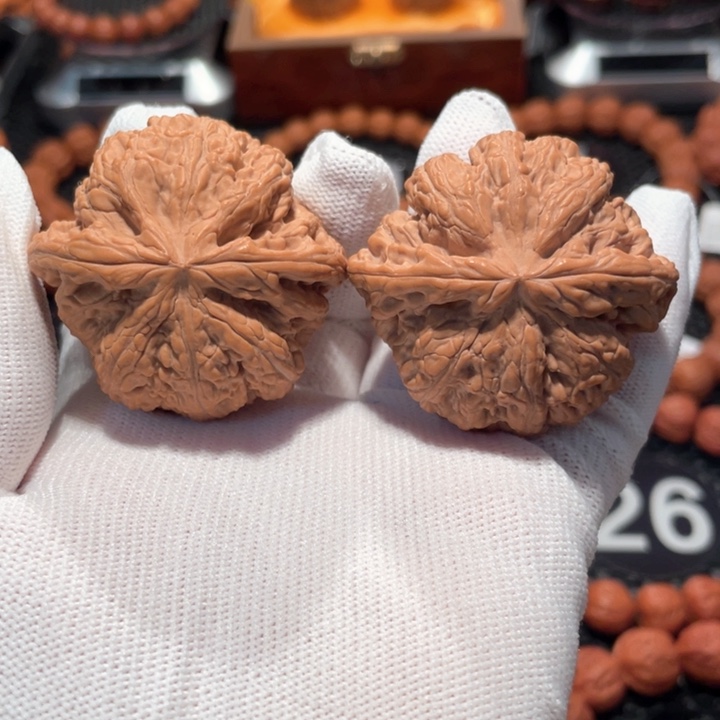 核桃粗筋47尺寸全品