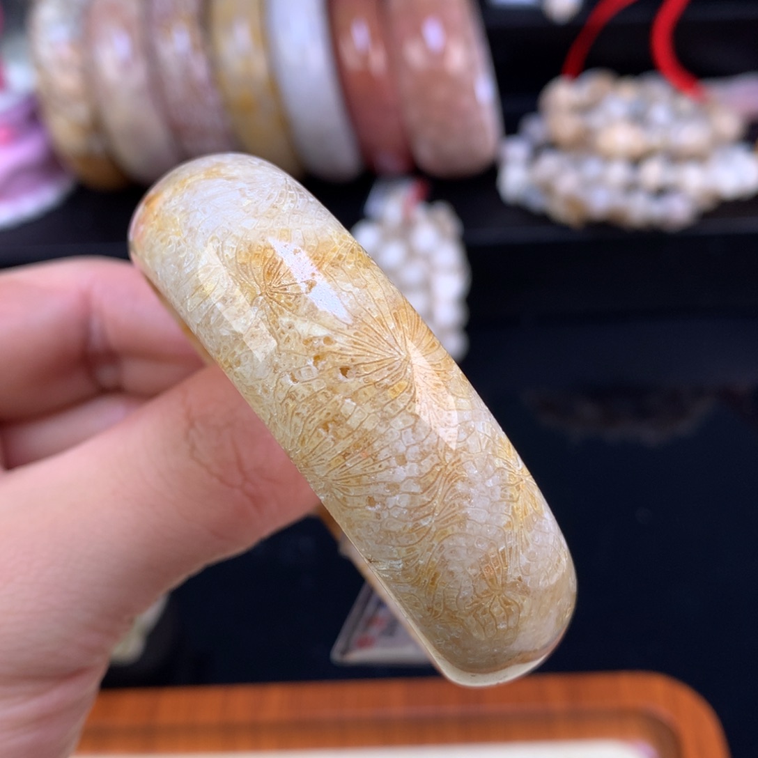 硅化珊瑚（珊瑚玉）未镶嵌颈饰91号金丝凤尾54圈