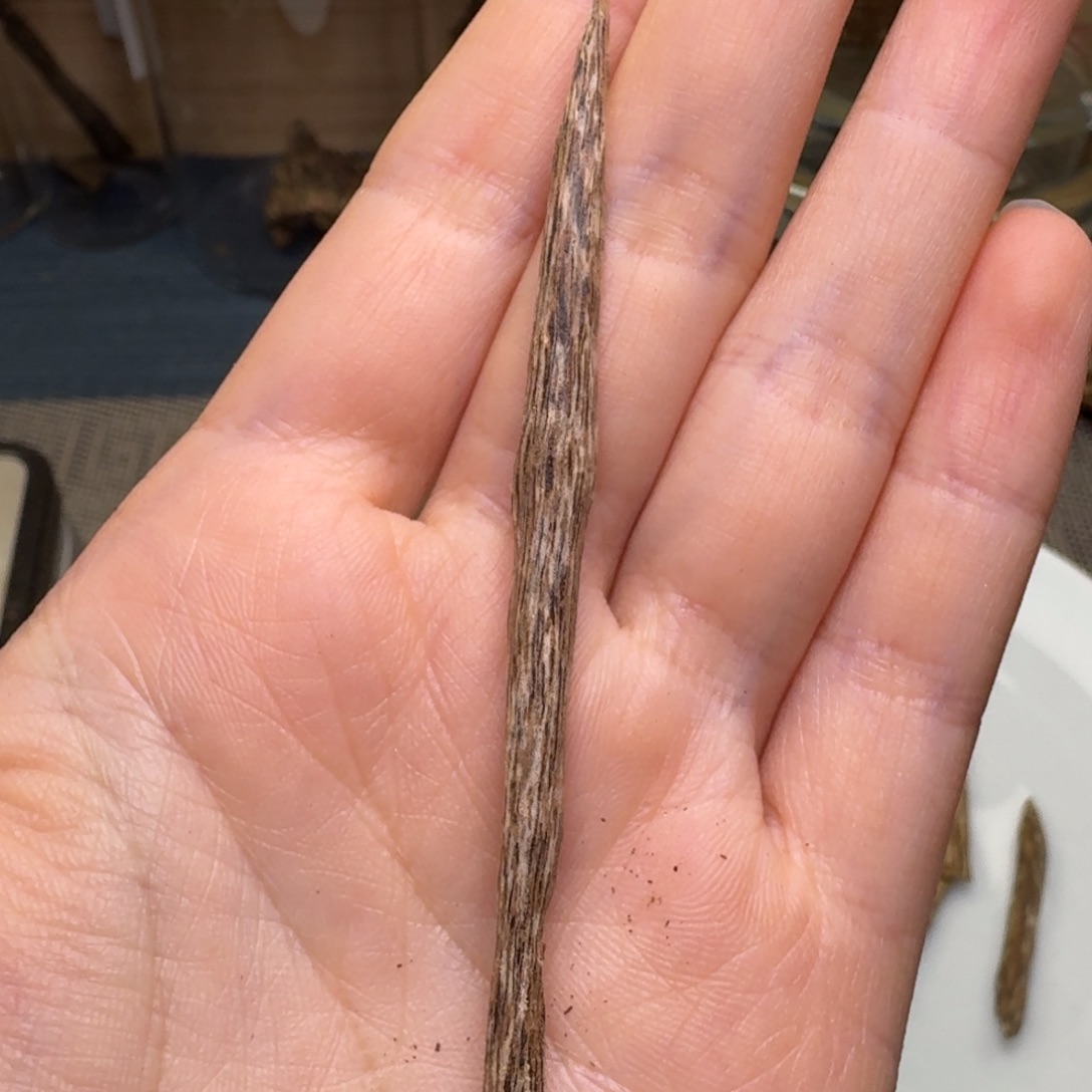 木海南大山树结树心0.7克