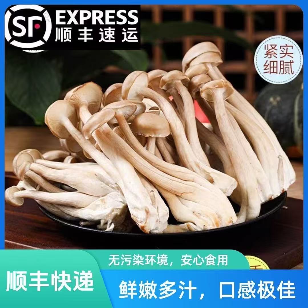 【顺丰京东包邮】新鲜鹿茸菇精选深山采摘超值装煲汤炖汤食用菌