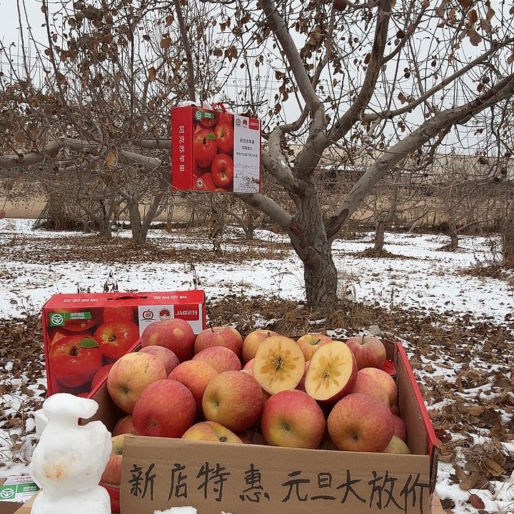 金冠苹果阿克苏苹果