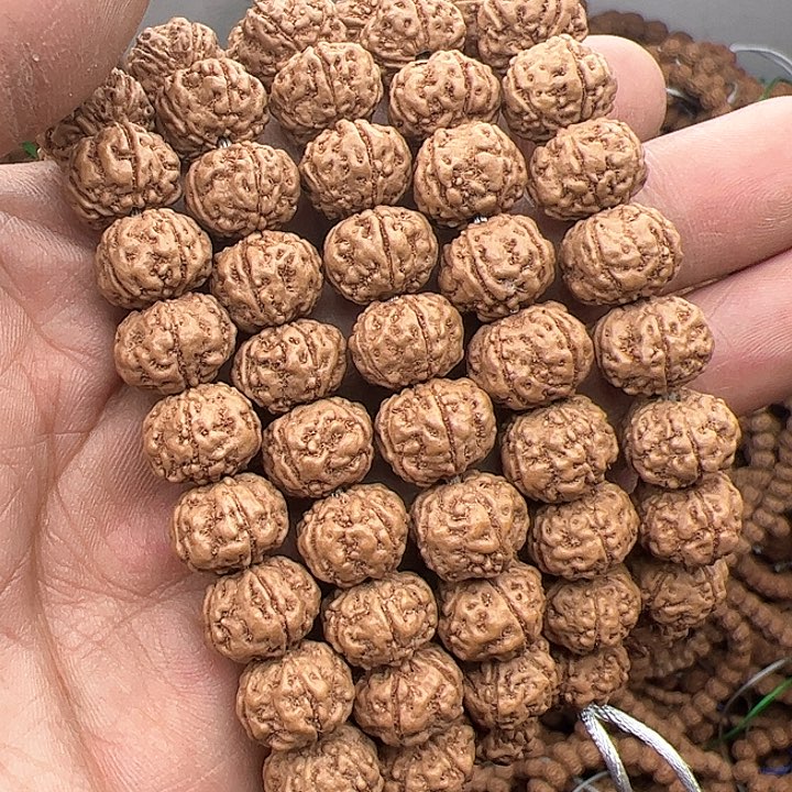 金刚菩提手串传*树王