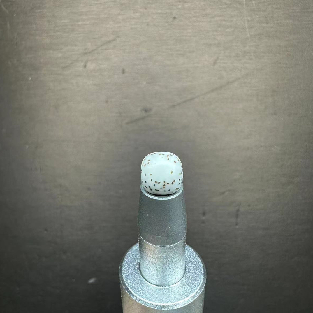 海南原生态星月菩提9.9