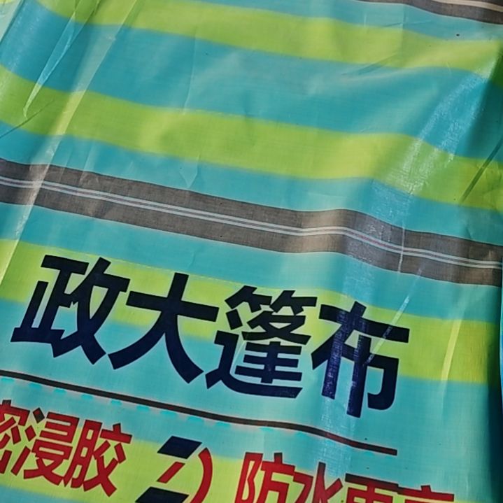 绒质5775283838833868