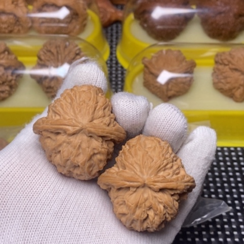 文玩核桃把件白狮子39