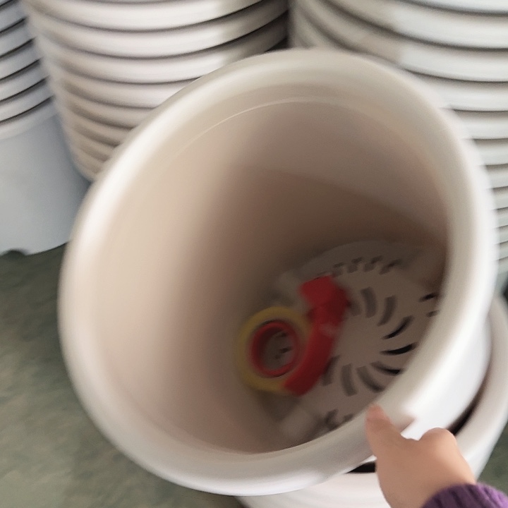 四季8号灰白无托5个特价微瑕