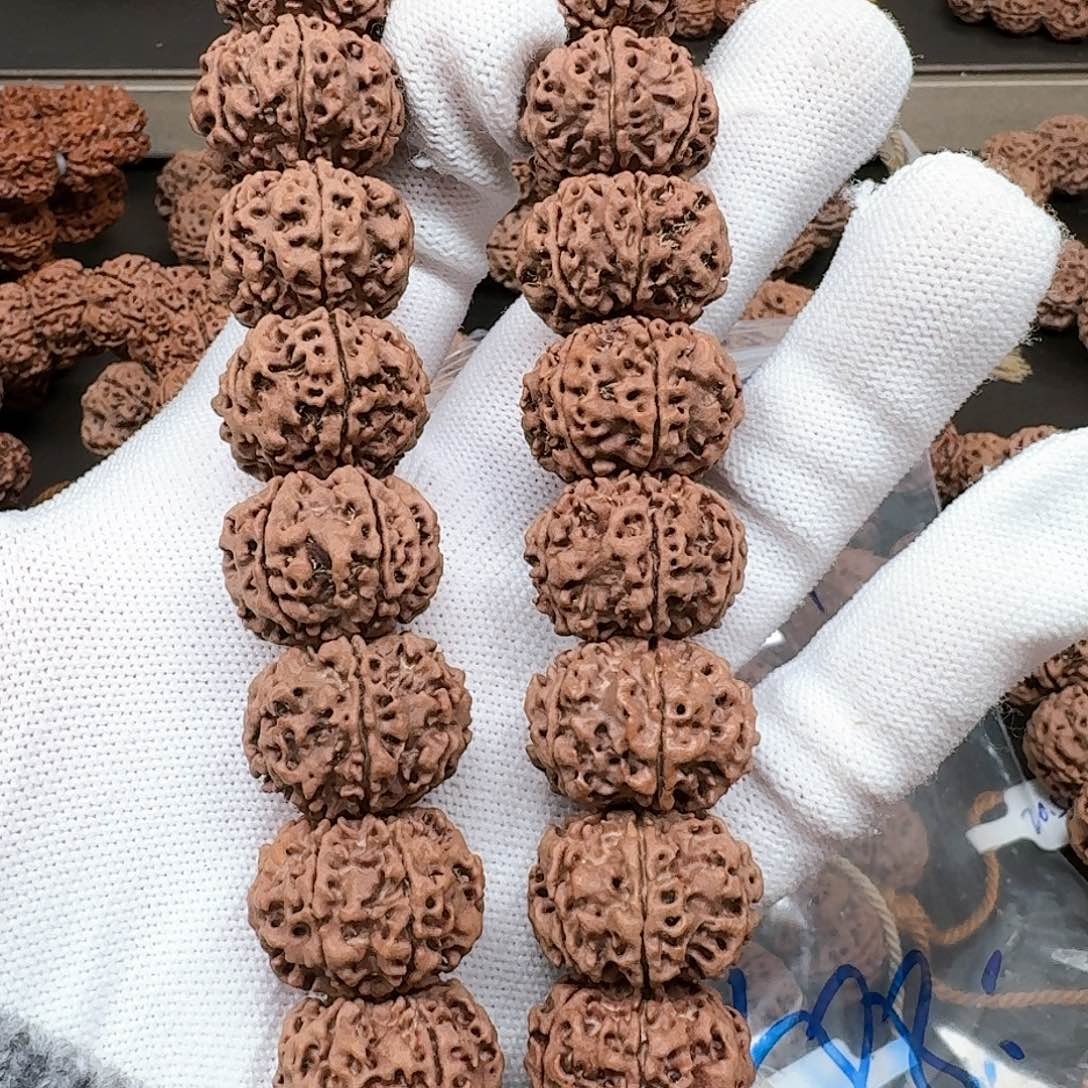 金刚菩提手串21+天然纽扣六瓣