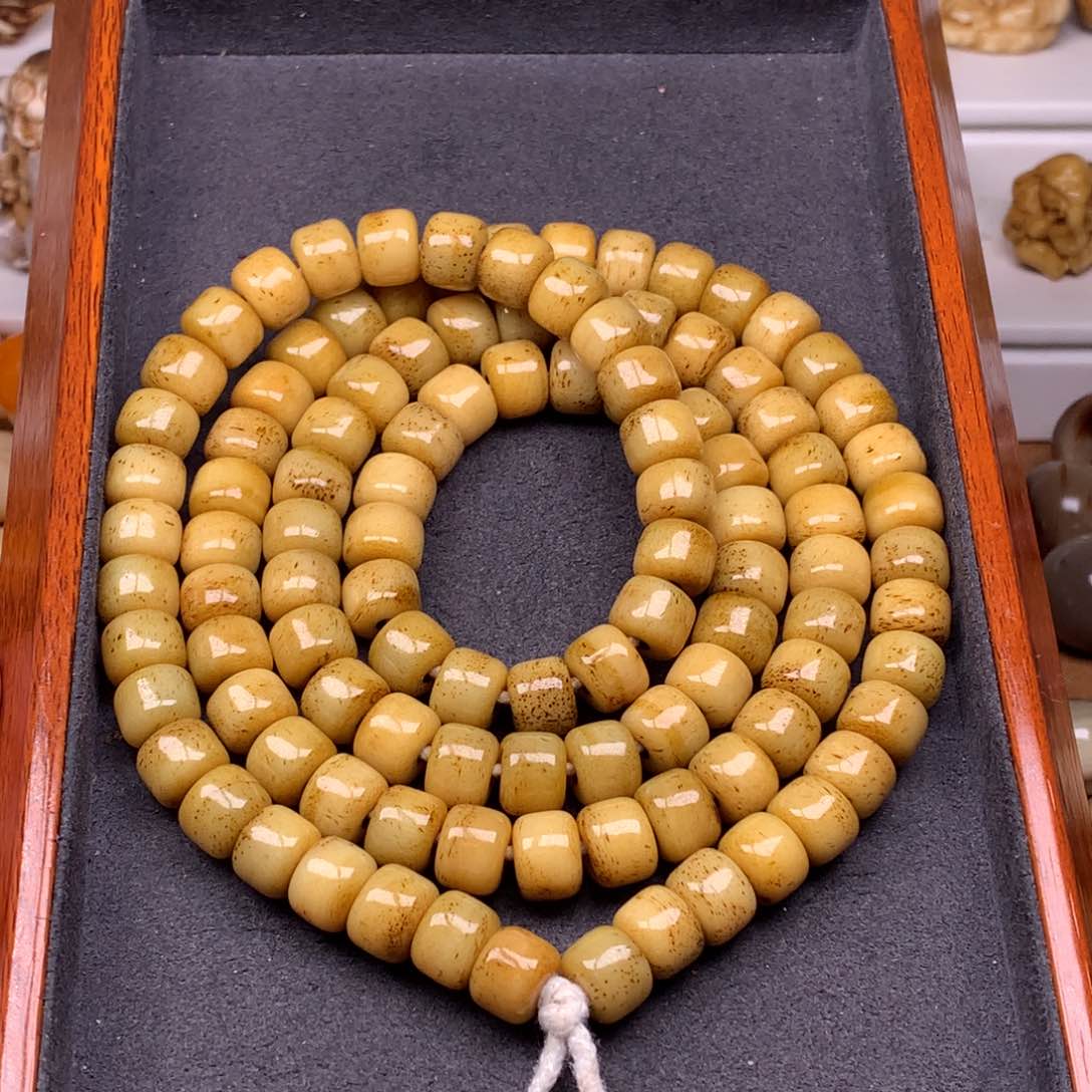 驼骨其他 天天都在盘  10