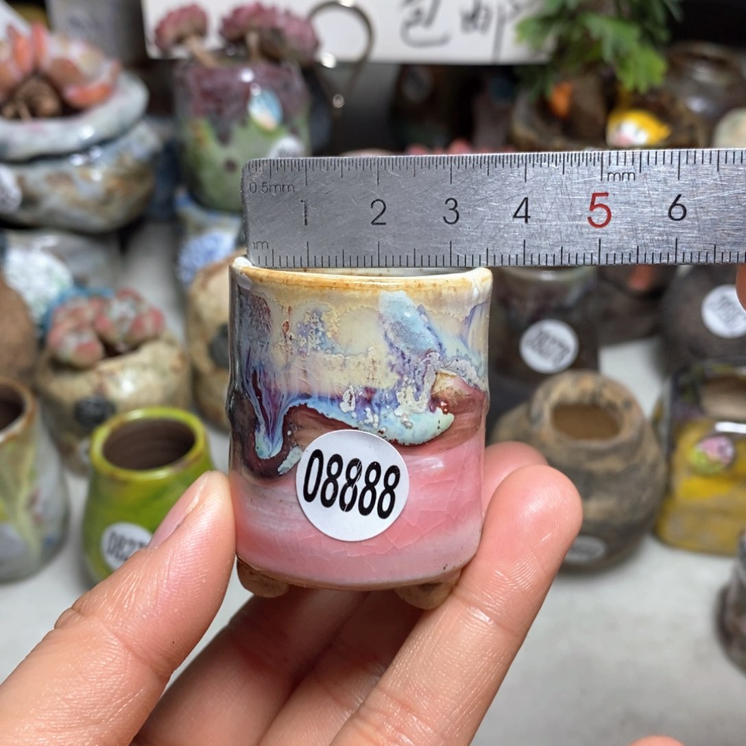 花盆拍5送一个小礼物