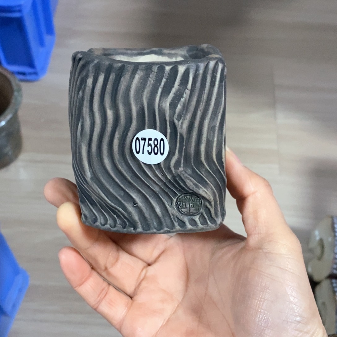 朋*拍3送一个小礼物花盆