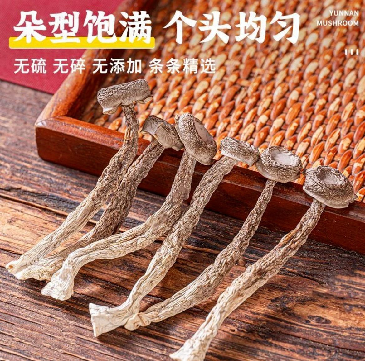 【净重】鹿茸菌干货新鲜香菇煲汤鹿茸菇食材无熏硫鹿茸菇