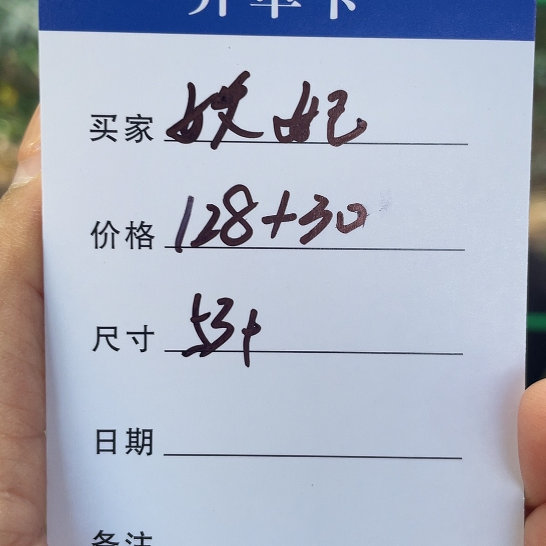 妖***妃非金属所见皆所得