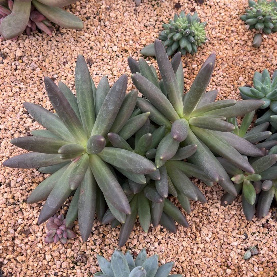 上***痕1225111111111111111111