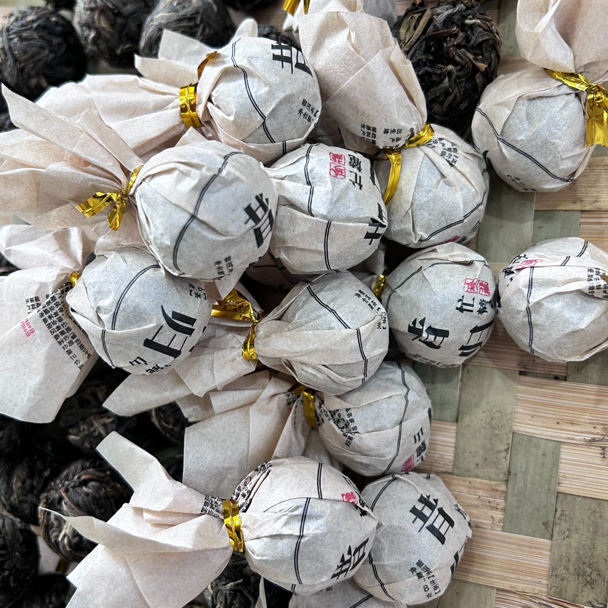 24年昔归忙麓山大树秋龙珠