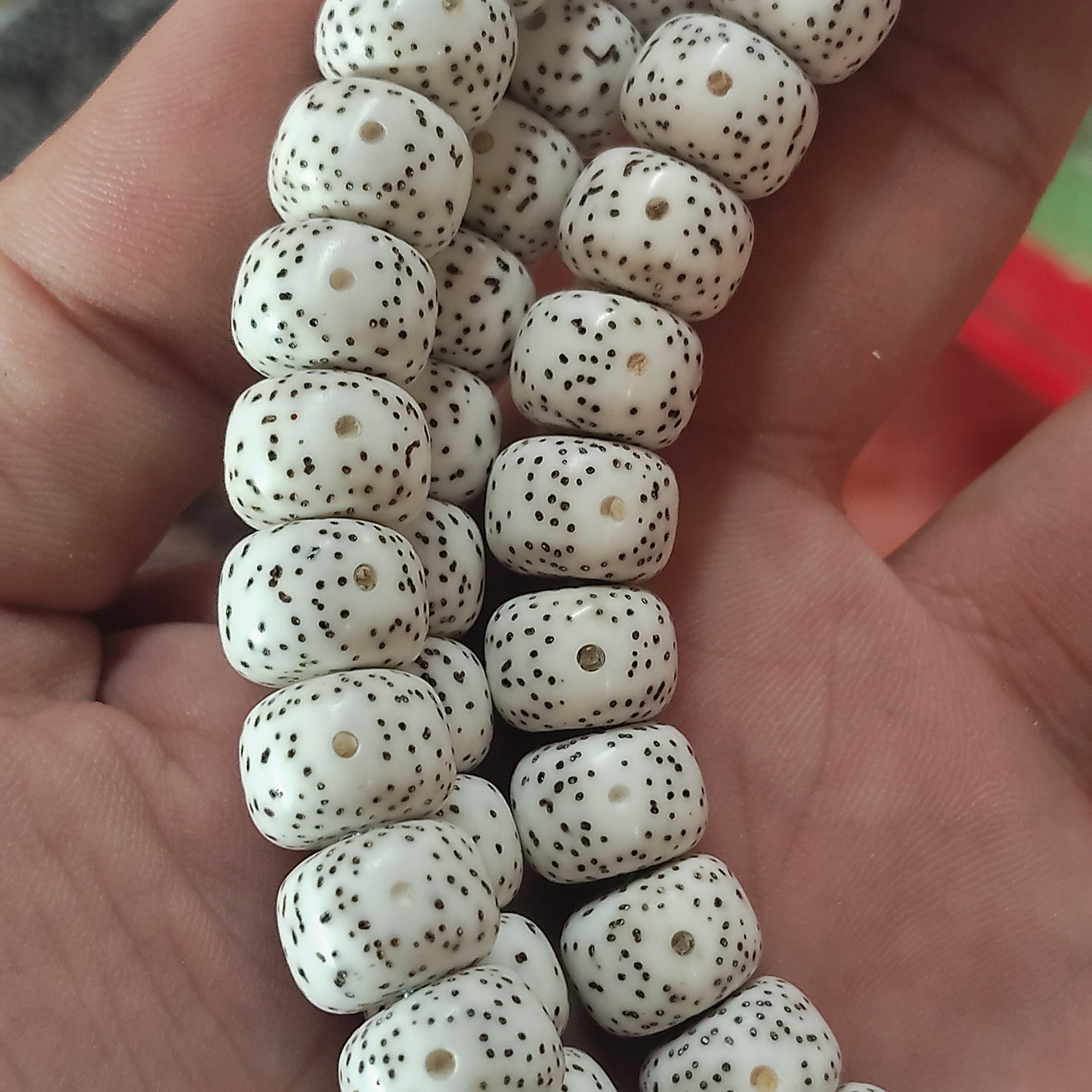 菩光原生态工艺同枝籽8x1