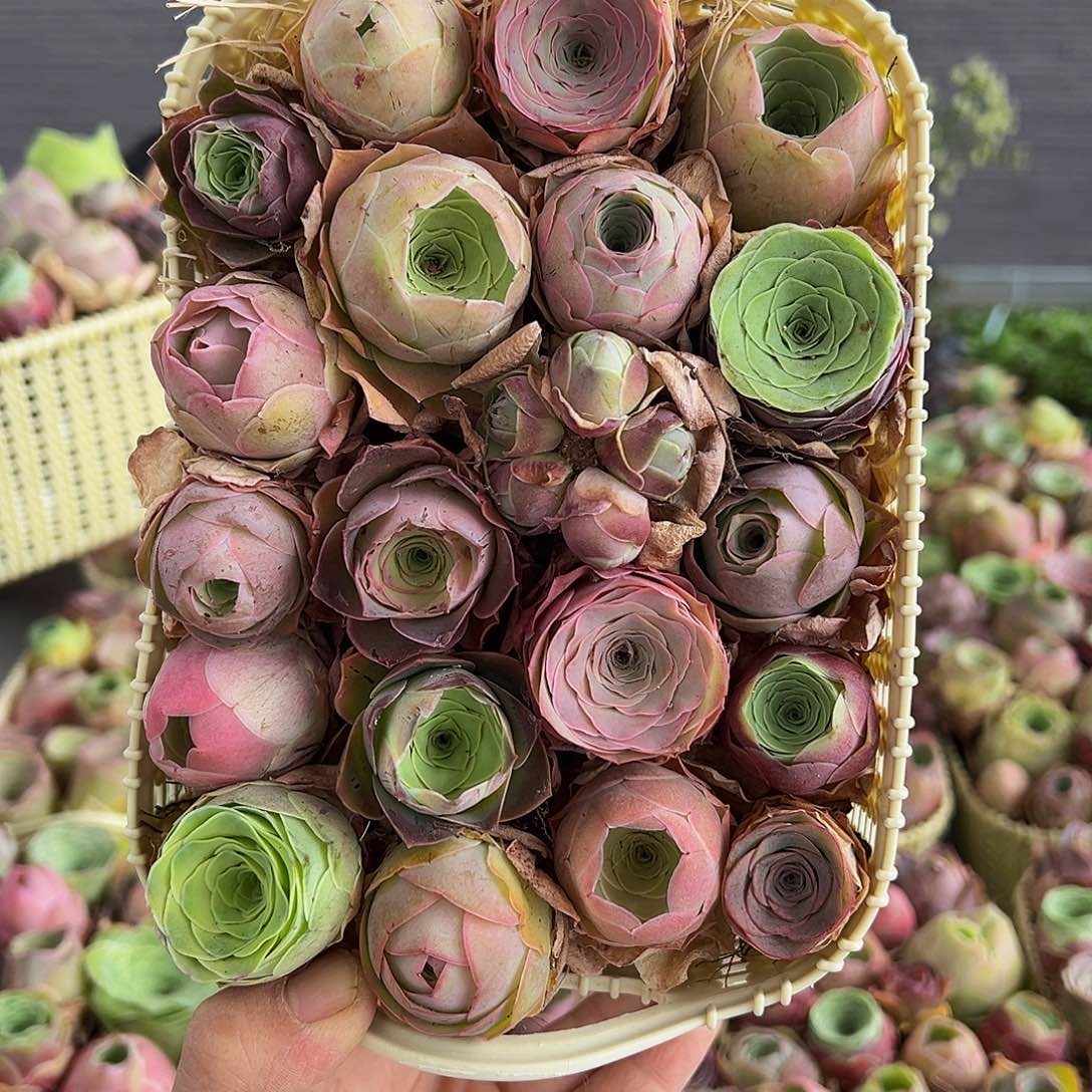 C020。 玫瑰混花篮。  