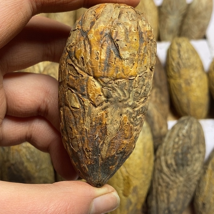 过***已千眼菩提吊坠菩提