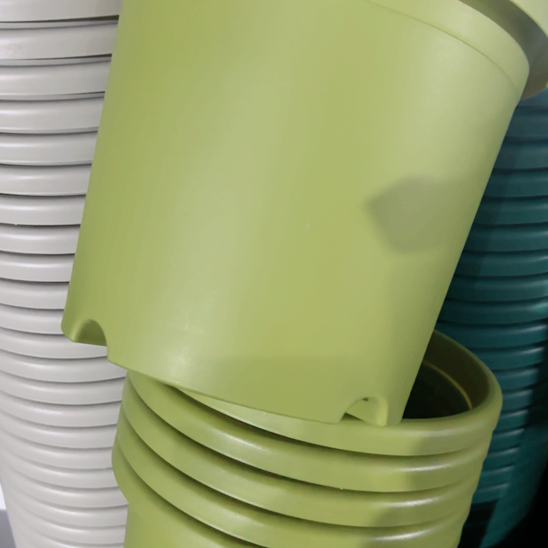 树脂特价5#无拖果绿6个