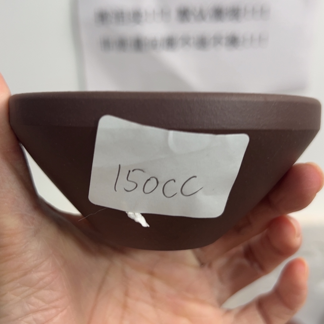 茶壶紫砂宜兴紫砂杯