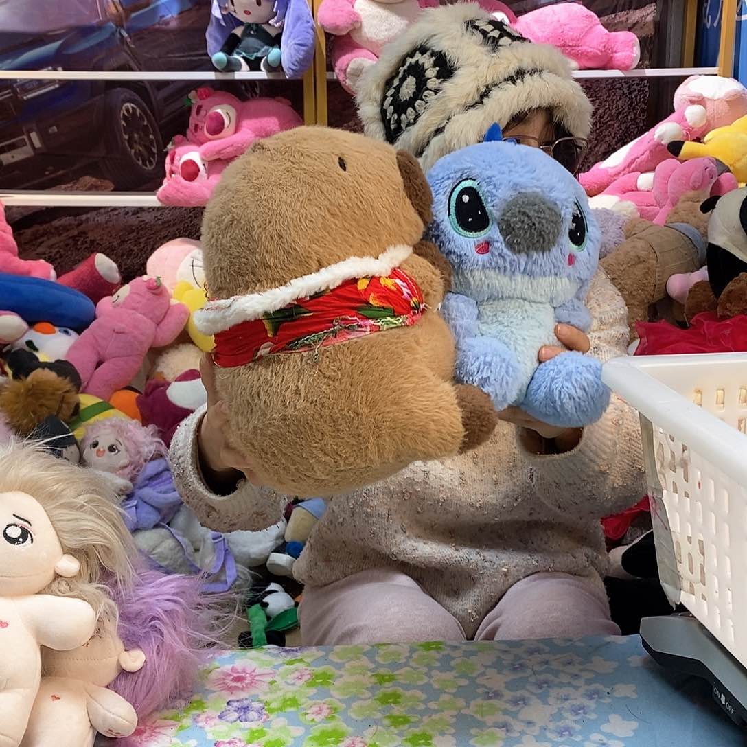 毛绒像****?毛绒玩具529