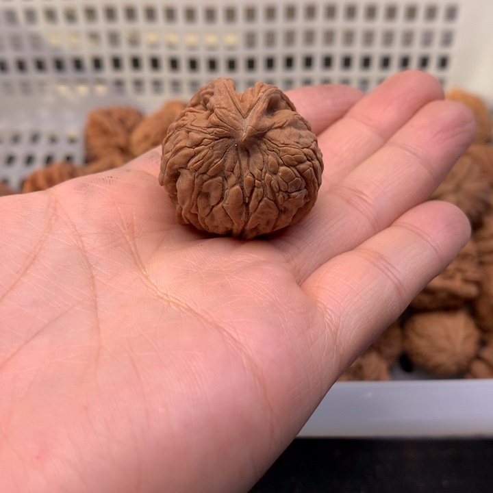金***子吊坠文玩核桃文玩核桃