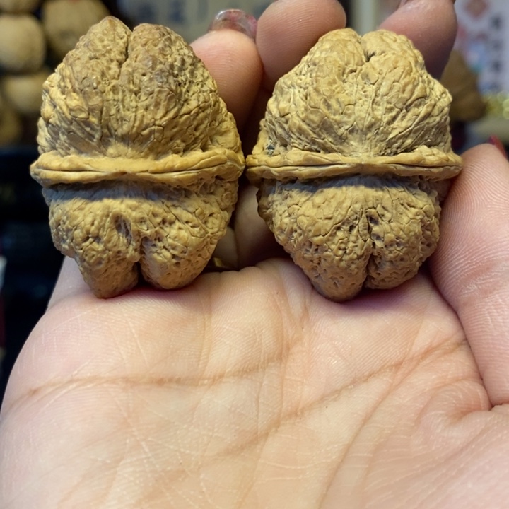 吊坠文玩核桃41蝴蝶古蝉王