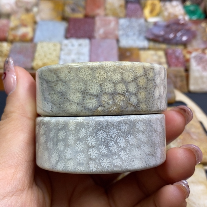 【闪购商品】硅化珊瑚（珊瑚玉）颈饰未镶嵌K4