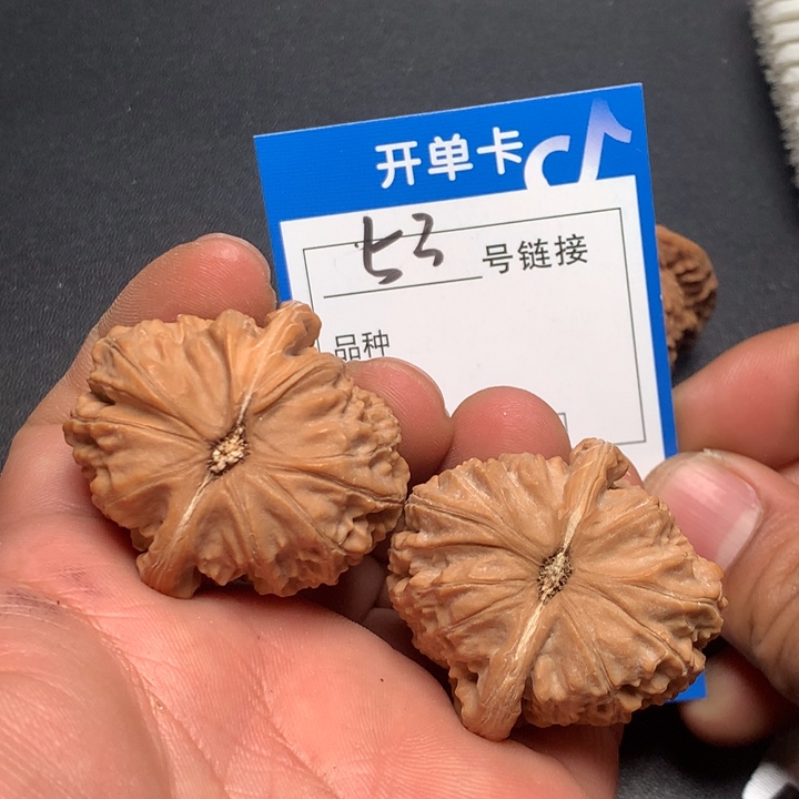 文玩核桃把件38白狮子53