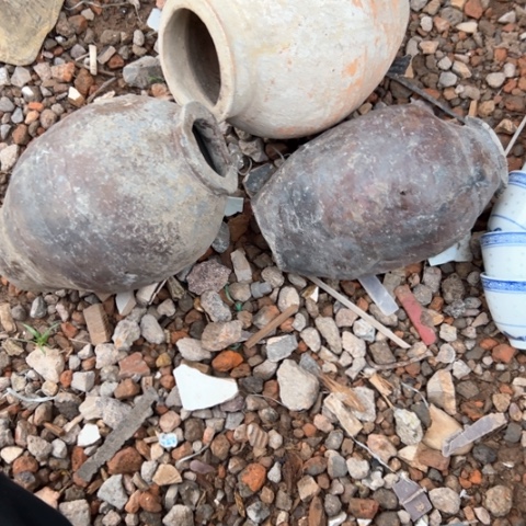 杂色豆（科檀/科特迪瓦檀木）【****所