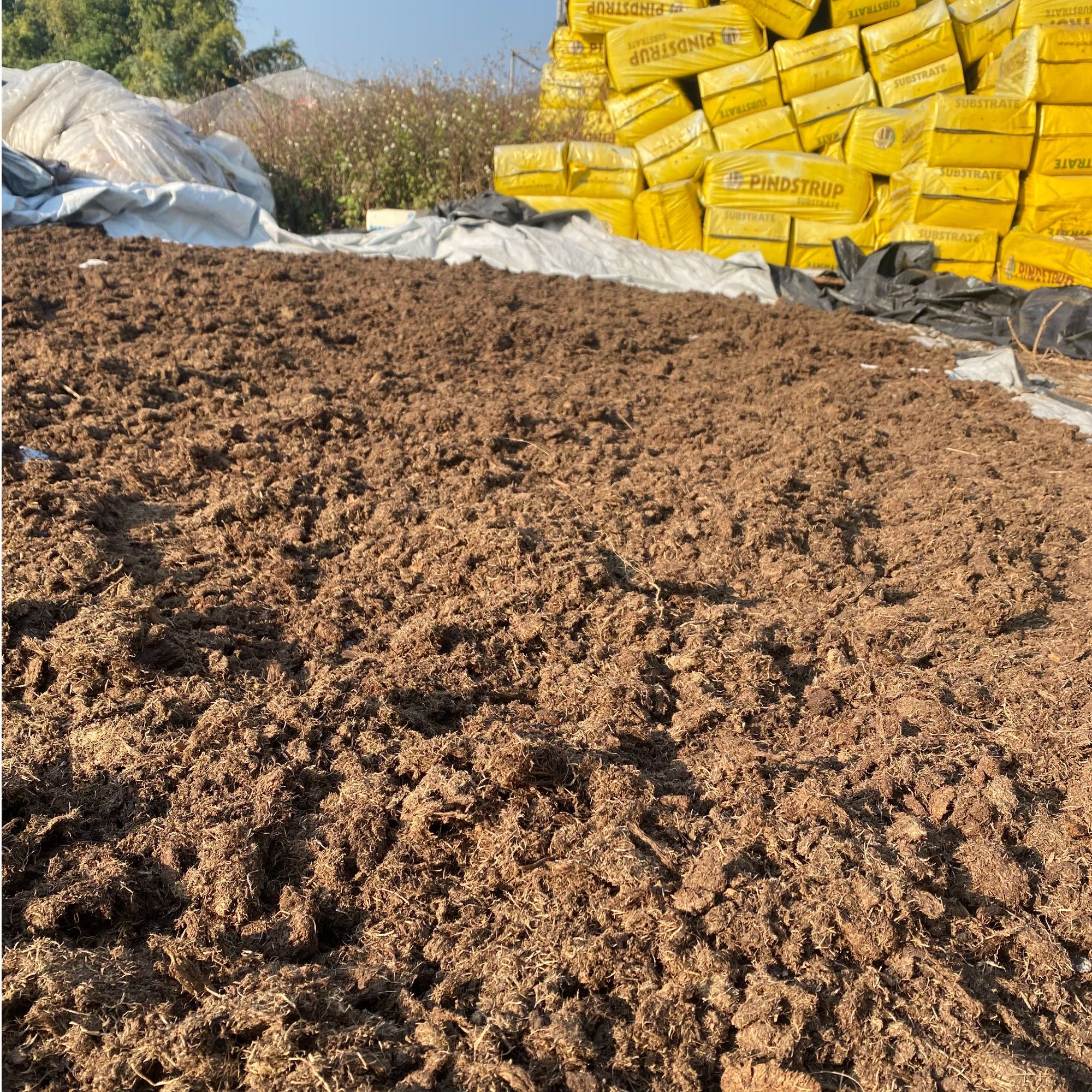 20L营养土通用型   进口泥炭土，养花和种菜一样简单