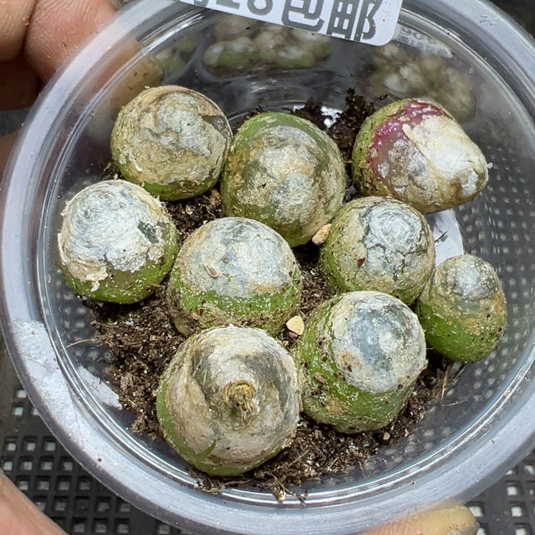 【闪购商品】 901。  