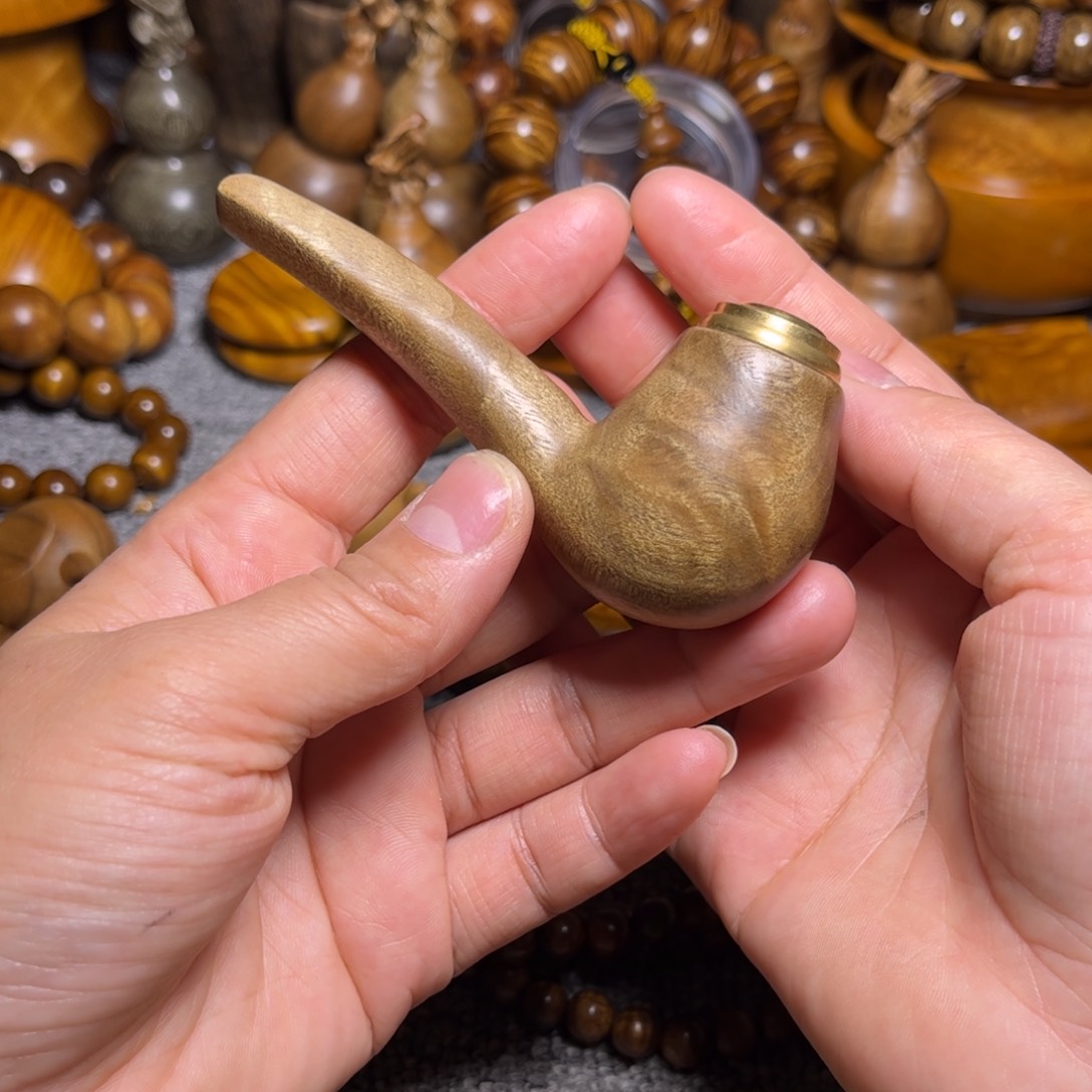 金丝楠烟斗小叶桢楠