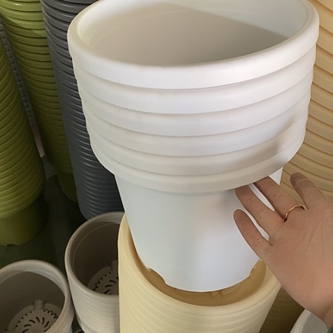 树脂四季4号6个无托白