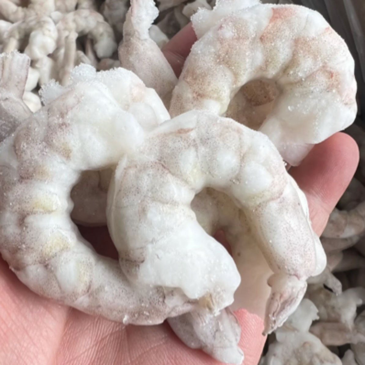 【41/50】纯干单冻虾仁海虾仁一斤一袋烹饪食材