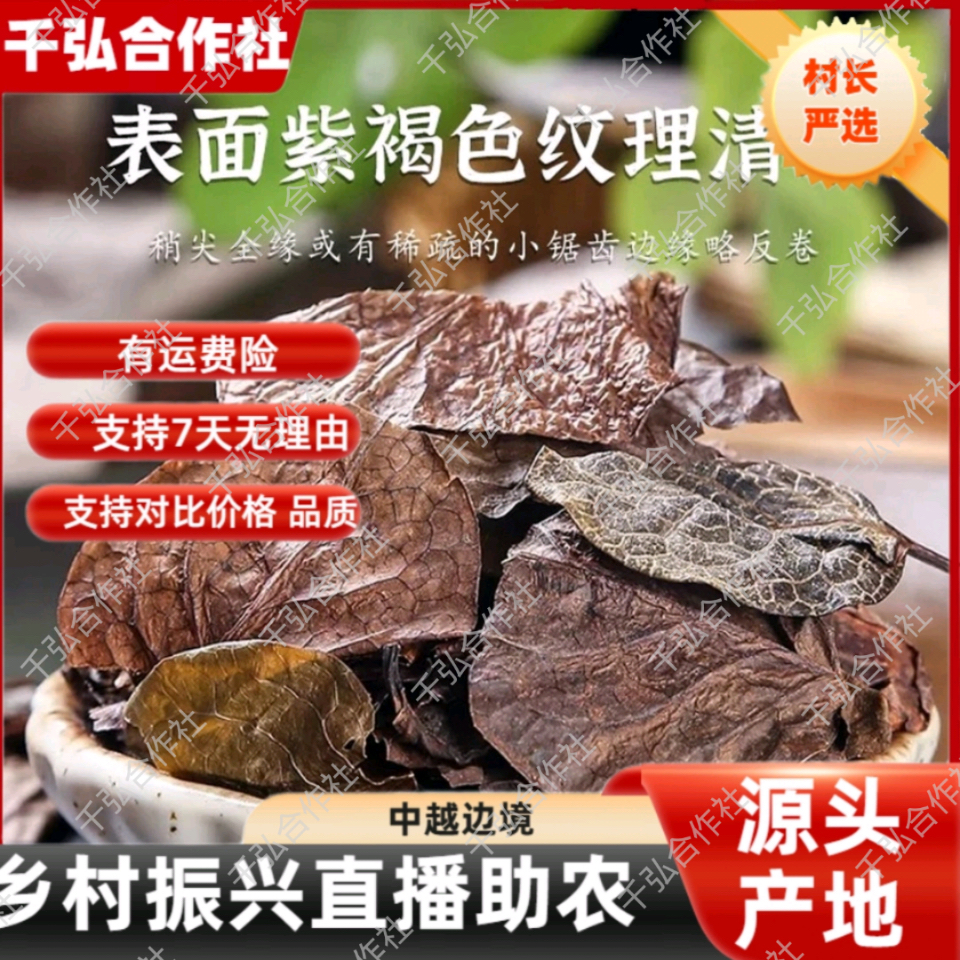 【村长严选】——野线莲1