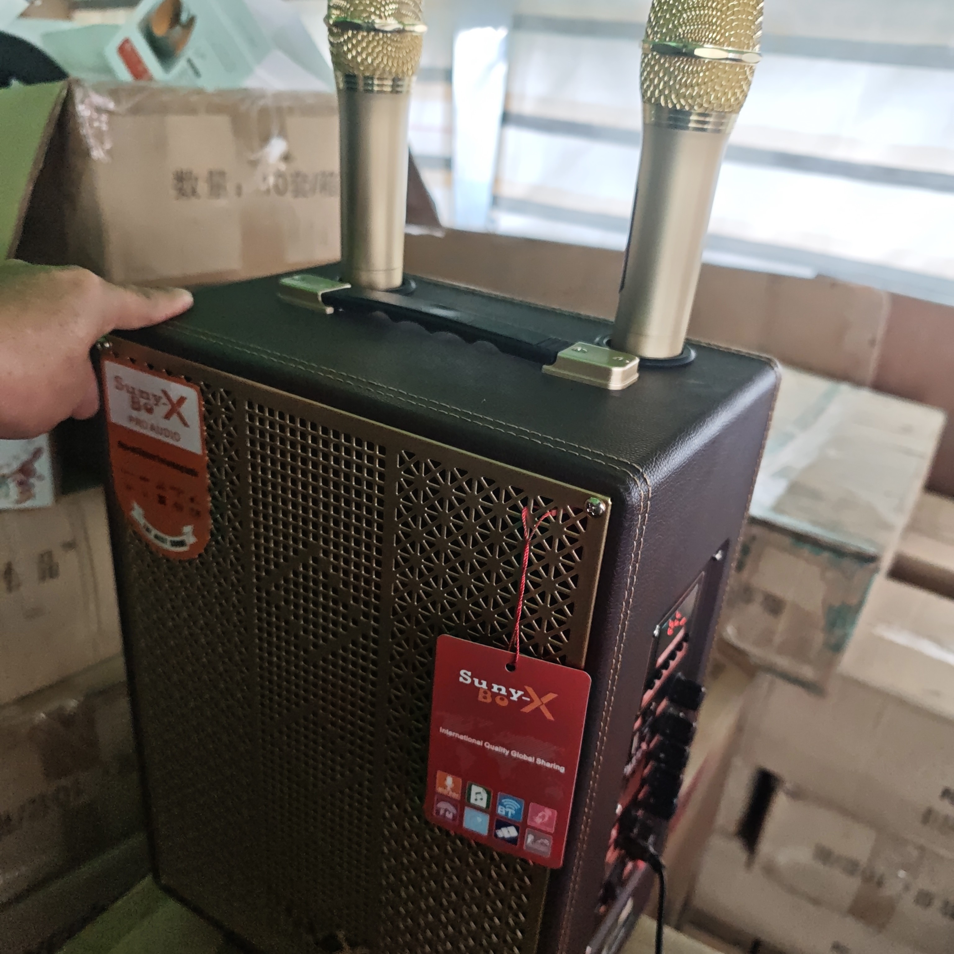 8寸充电音箱带两只话筒，话筒颜色不话筒不挑颜色。不包邮