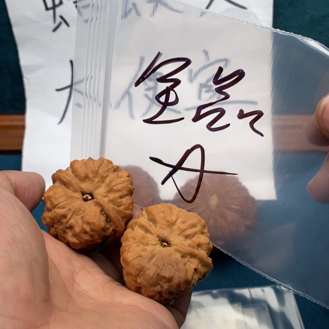 W469469497749946649749