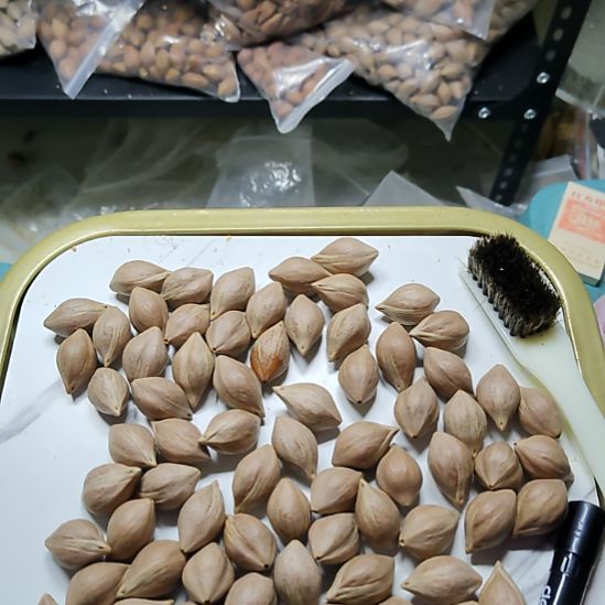 ****破吊坠橄榄核水滴散籽