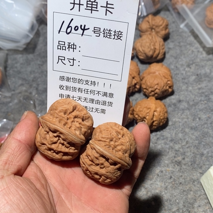 文玩核桃把件1064号咯哦哦哦哦咯咯