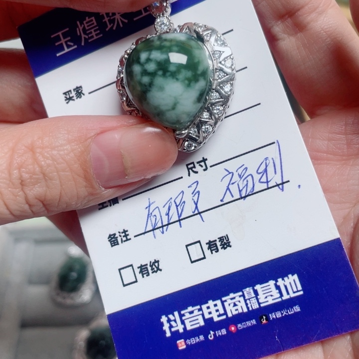 透闪石-蛇纹石玉银S925镶嵌颈饰