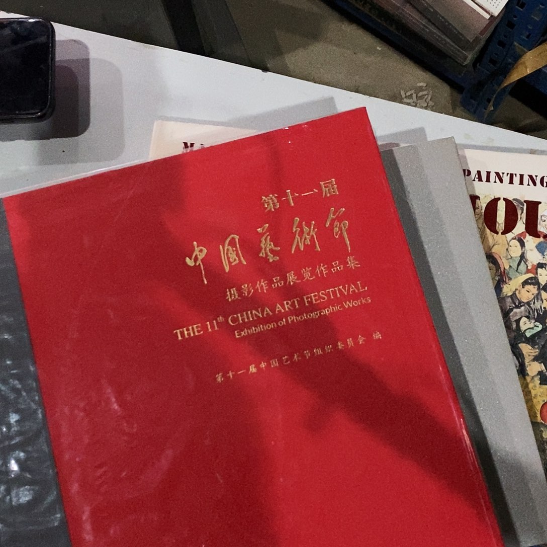 中国艺术节摄影作品展览作品集