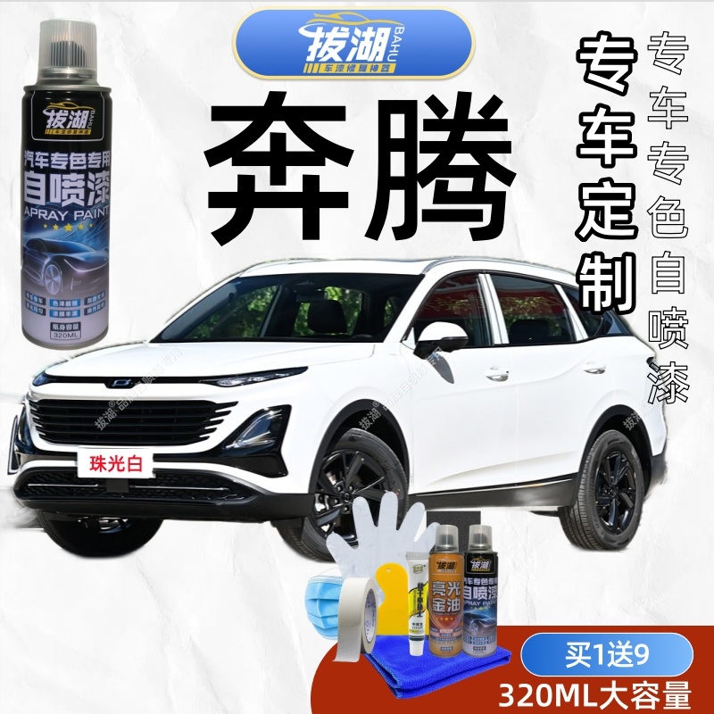 奔腾B30 B50 B70 B90奔腾E01  T33 T55 T77 X40 奔腾小马自喷漆