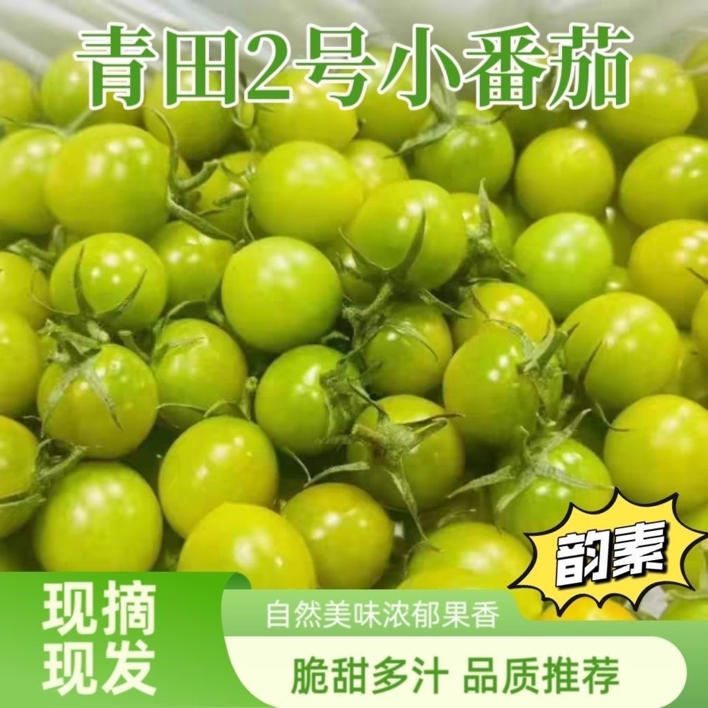 【顺丰包邮】D寿光正宗青甜2号绿色小番茄当季绿色好果圣女果爆甜