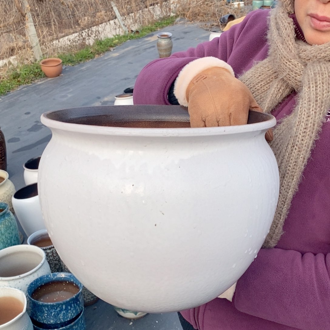 红陶口30高24～～～