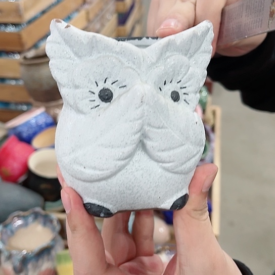 陶瓷花盆凑单福利满10元发货！