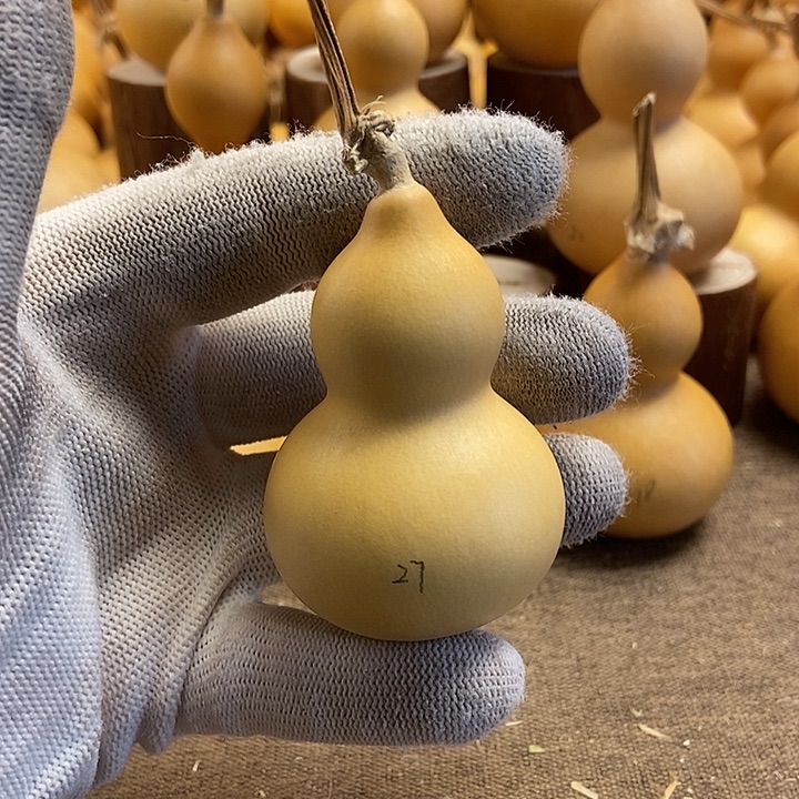 文玩葫芦 完美主义者 慎拍27