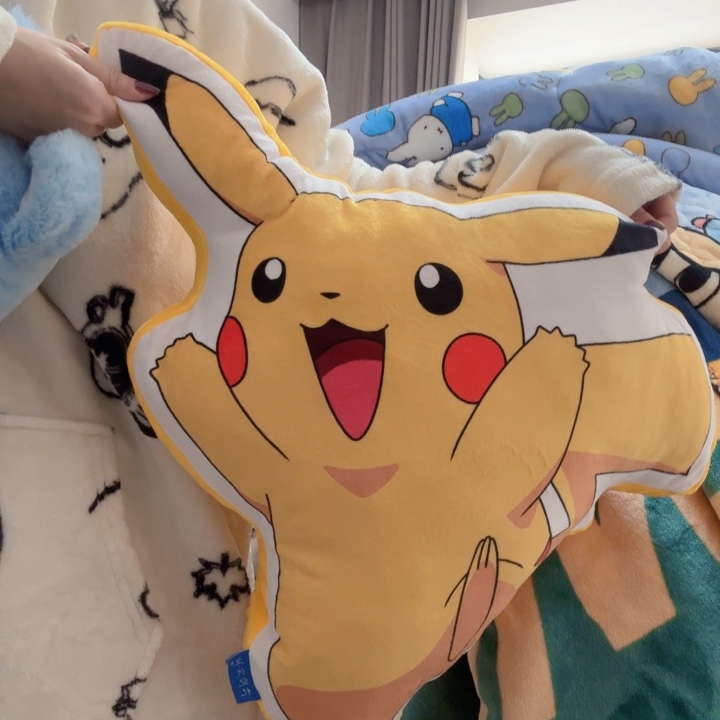 特价不退不换，抱枕